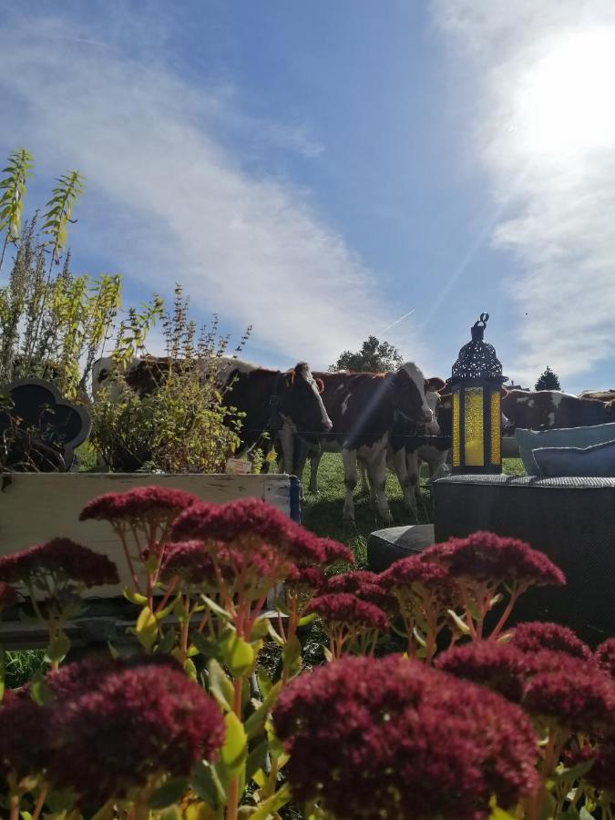 Petite maison sur la colline du Gibloux: 1chambre,1 salon et salle de bain privés au rez de chaussé, piscine extérieur et BBQ , Le Châtelard-Montreux Esterno foto